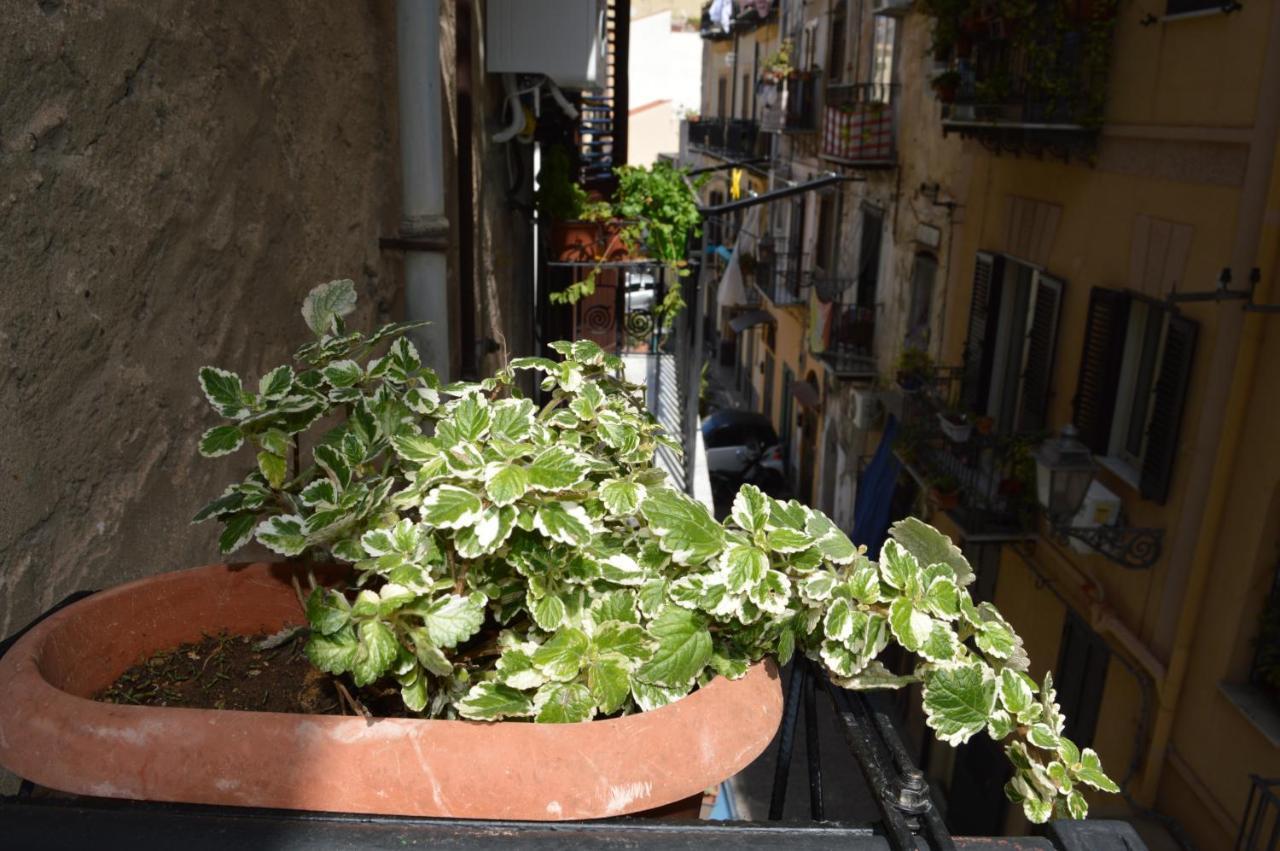 פלרמו Futtitinni Home Casamia מראה חיצוני תמונה